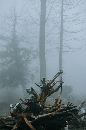 VedderRiver-Dec 2020-13