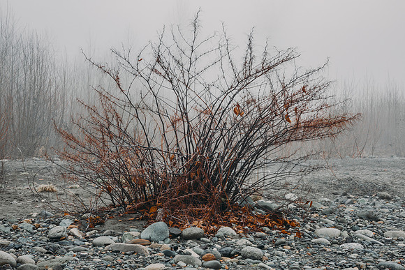VedderRiver-Dec 2020-5