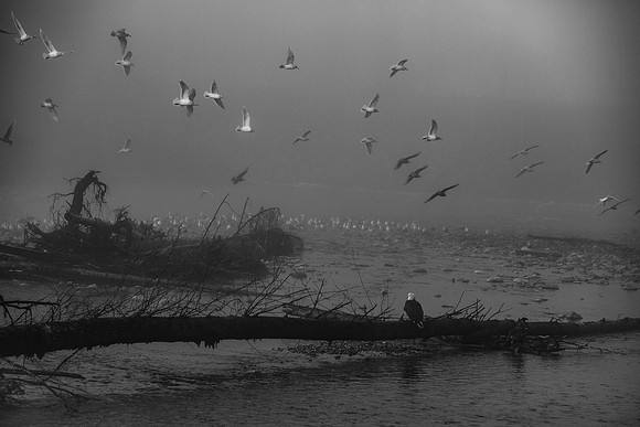 VedderRiver-Dec 2020-35