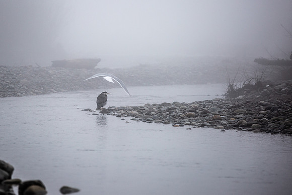 VedderRiver-Dec 2020-8