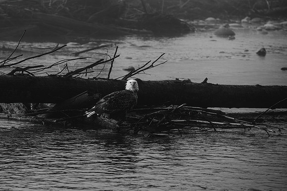 VedderRiver-Dec 2020-39