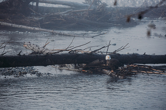 VedderRiver-Dec 2020-37