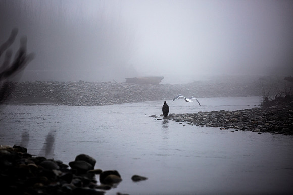 VedderRiver-Dec 2020-10
