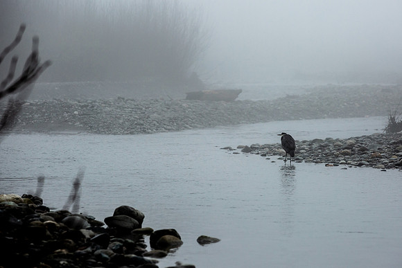 VedderRiver-Dec 2020-6