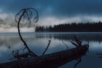 CultusLake-Nov2018-14