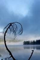 CultusLake-Nov2018-13