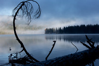 CultusLake-Nov2018-12