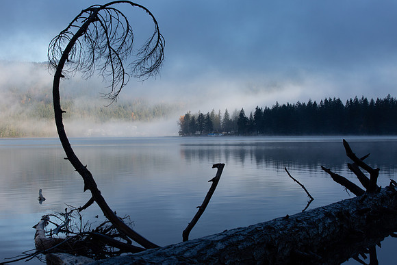 CultusLake-Nov2018-12