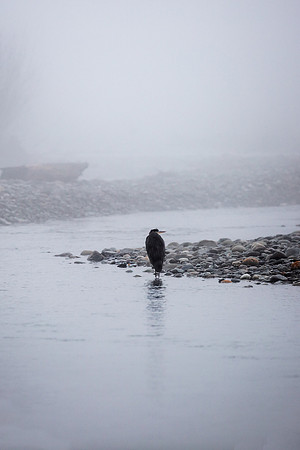 VedderRiver-Dec 2020-7