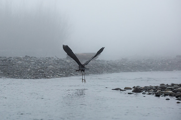 VedderRiver-Dec 2020-11